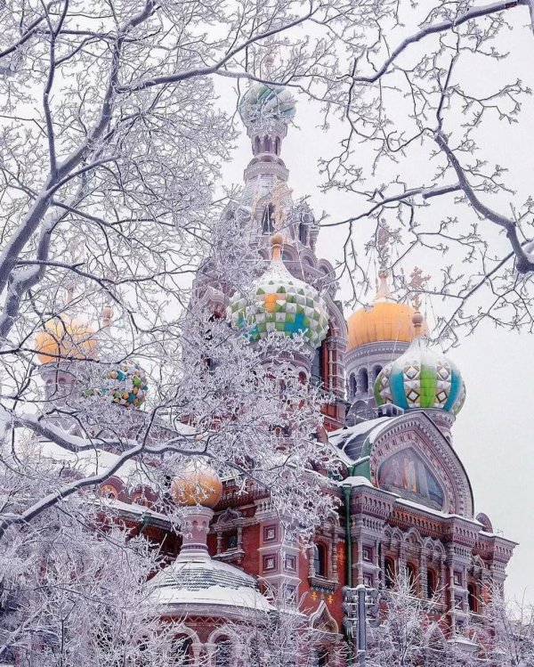 санктпетербург зима спас