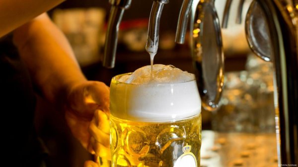 пивная пена