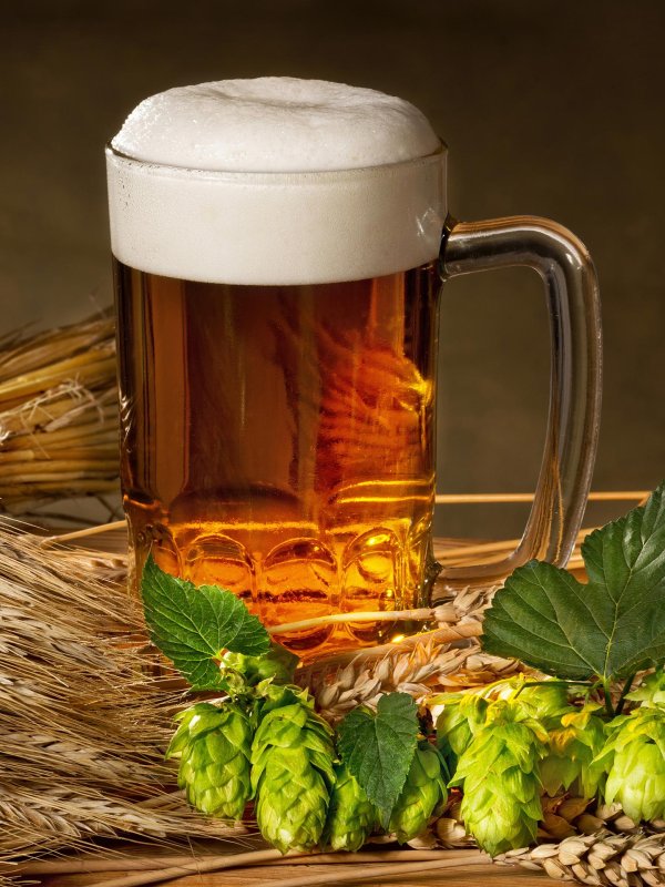 квас с хмелем
