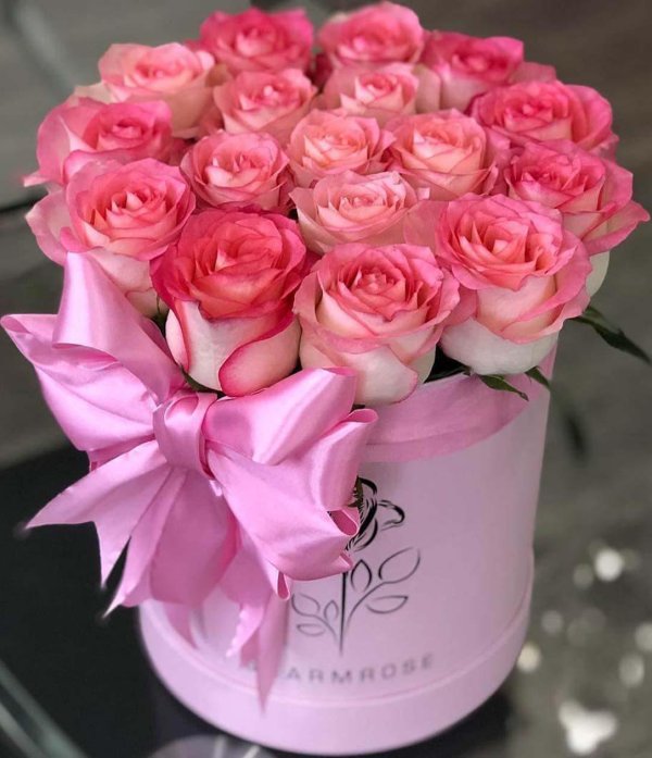 роза в коробке