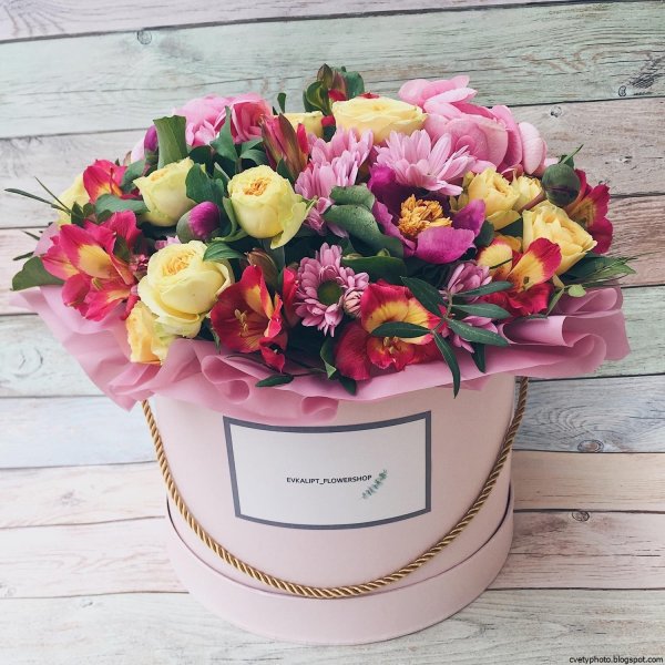 цветы в коробке
