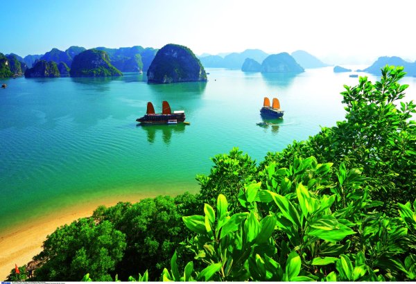 вьетнам путевки