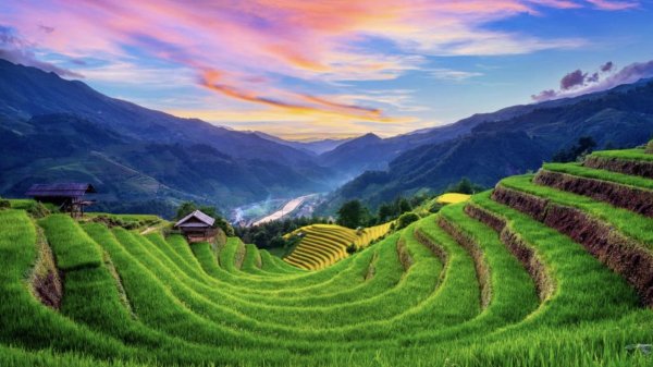 mu cang chai