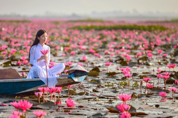 природа вьетнама