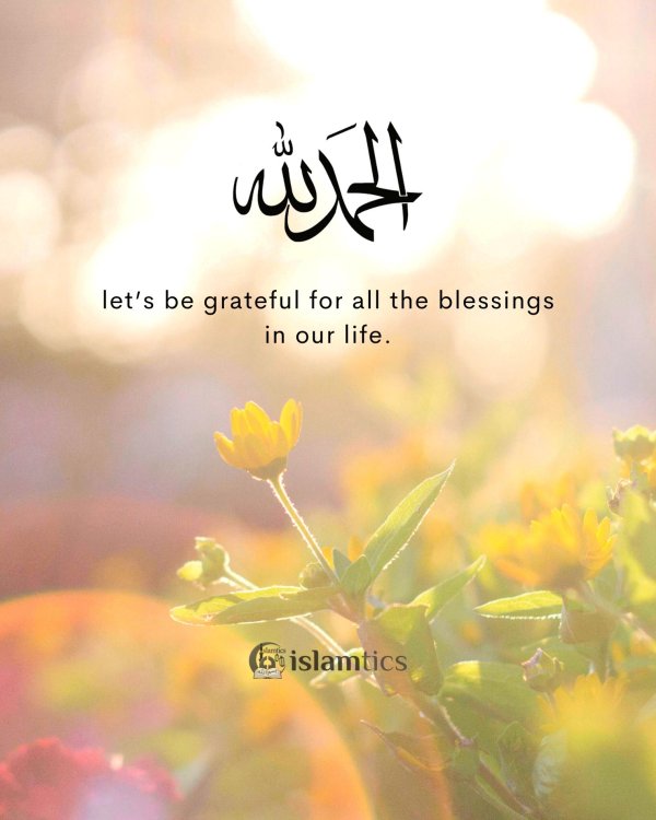 куран алхамдулиллах