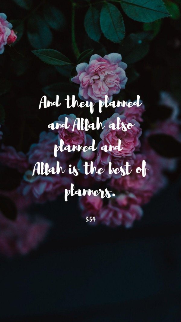 quran quote