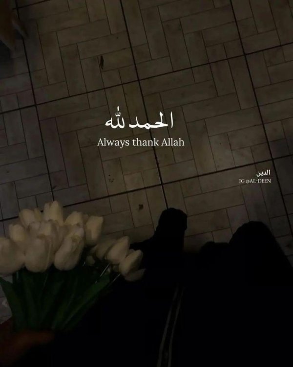 цитата из корана