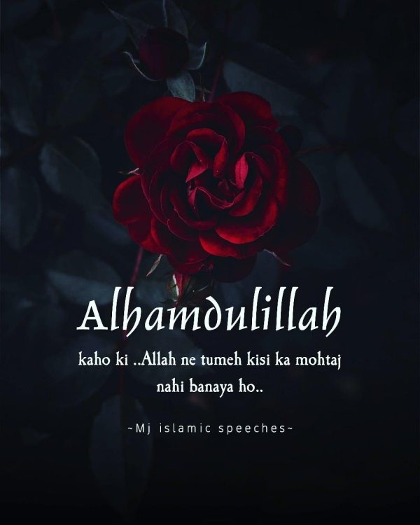 alhamdulillah quote