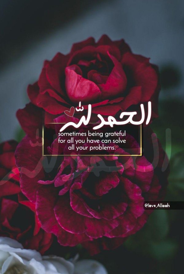 цитата из корана