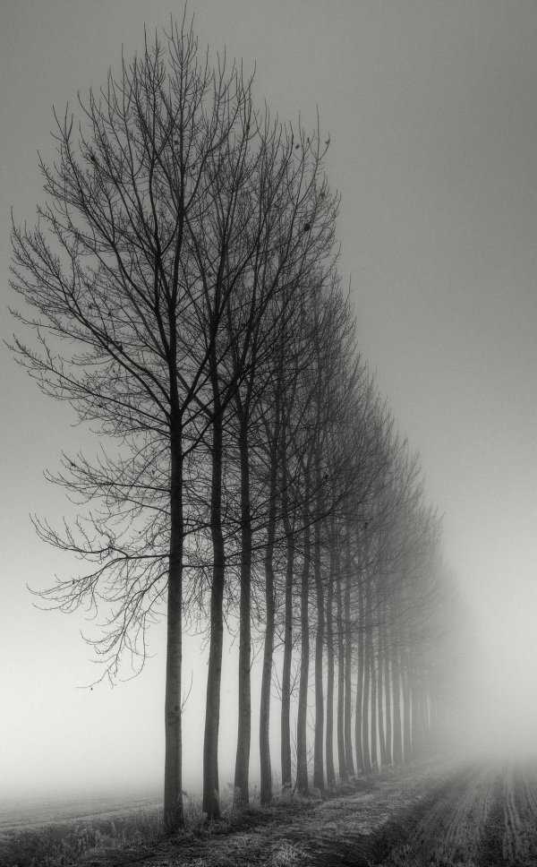 pierre pellegrini фотограф