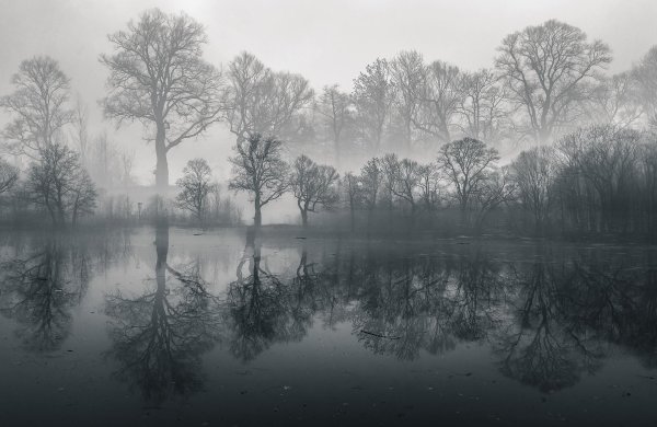 природные пейзажи