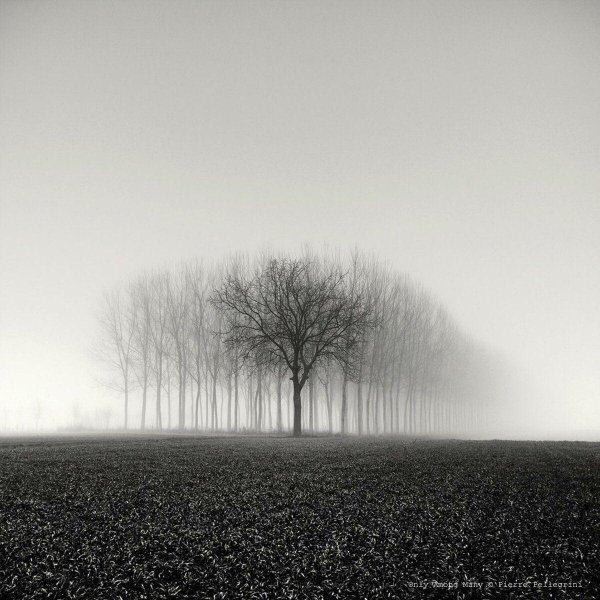 пьер пеллегрини