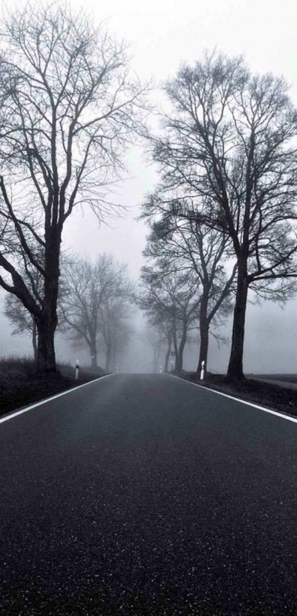 темные дороги