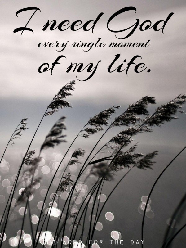 эстетика природа