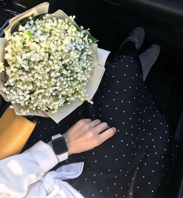 белая гипсофила