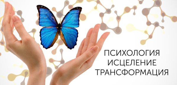 бабочка морфо