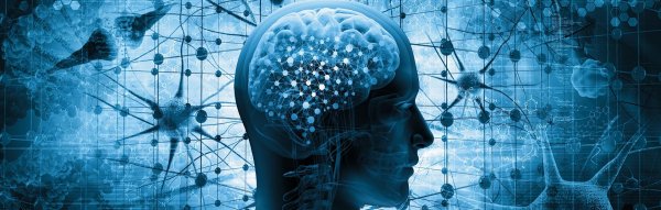 исследование мозга