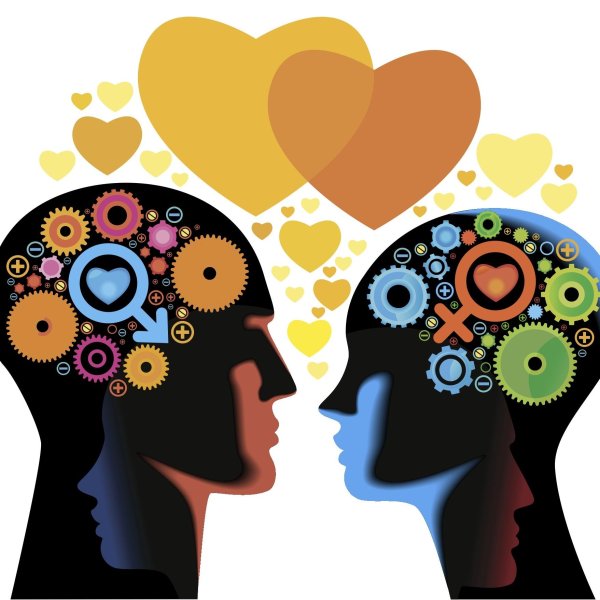 мозг и любовь