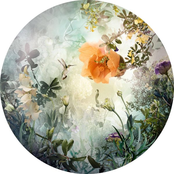 изабель лемэй