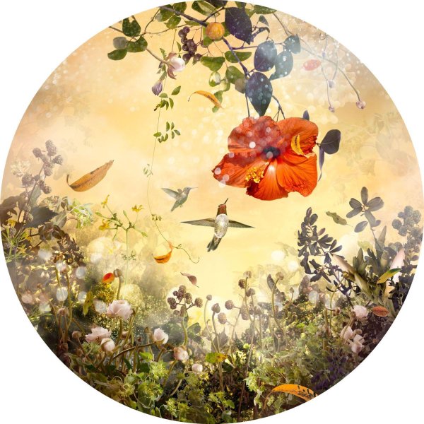 изабель лемэй