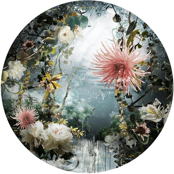 изабель лемэй