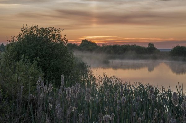 над рекой туман