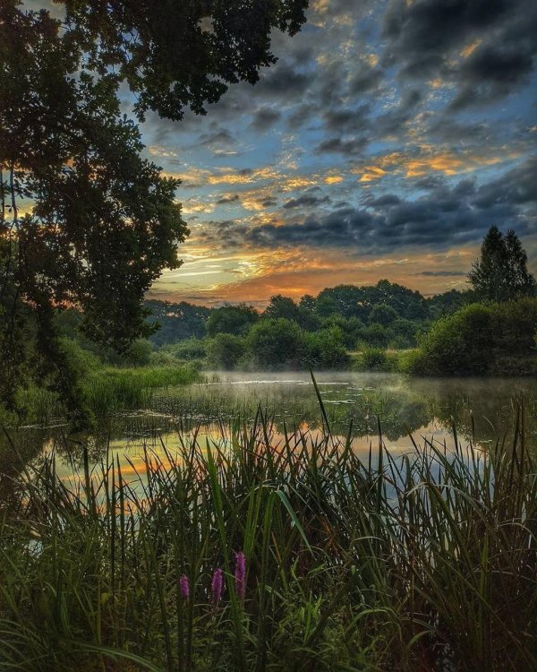 утренние пейзажи
