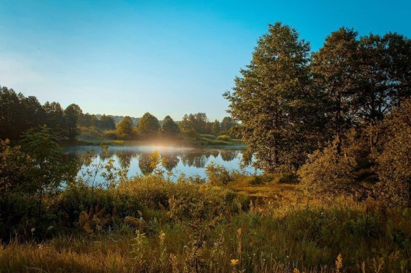 приоратский парк филькино озеро