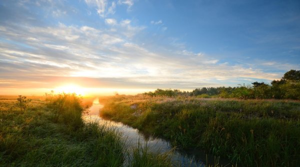 полесская низменность