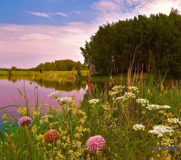 фотопейзажи сергея краева