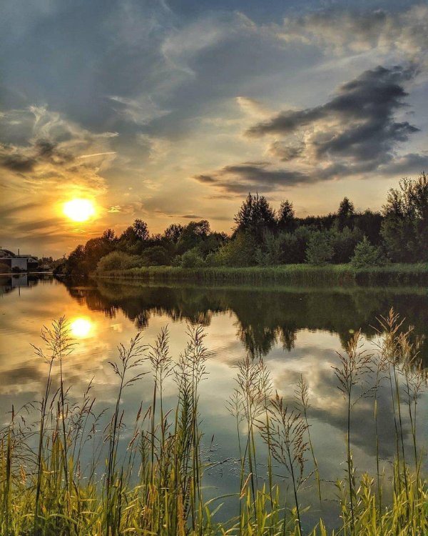 летнего вечера