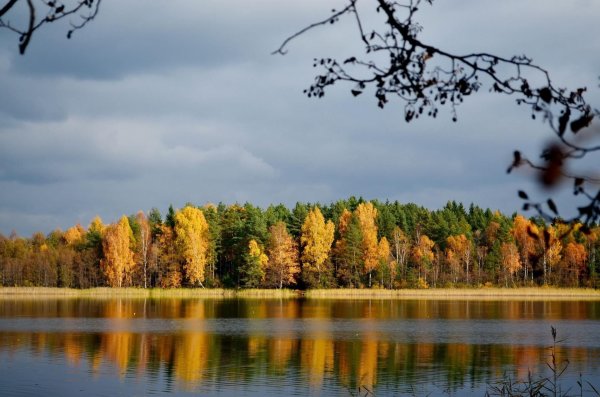 озеро новинское карелия