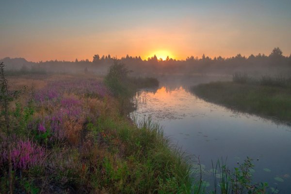 пейзаж рассвет