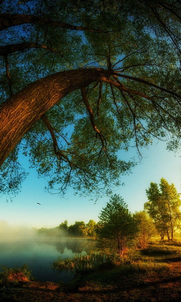 сергей домбровский фотохудожник пейзажи