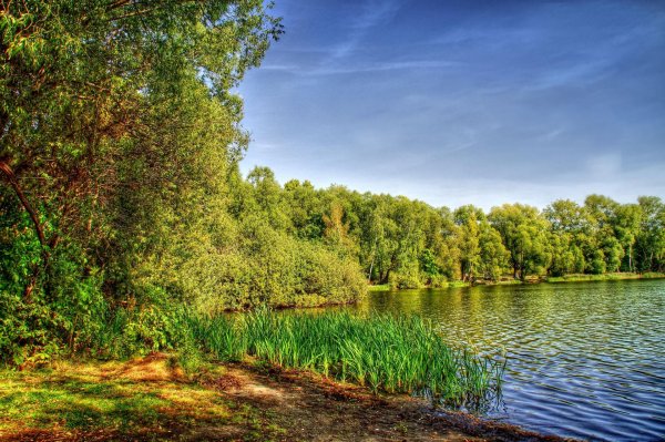 природа россии лето