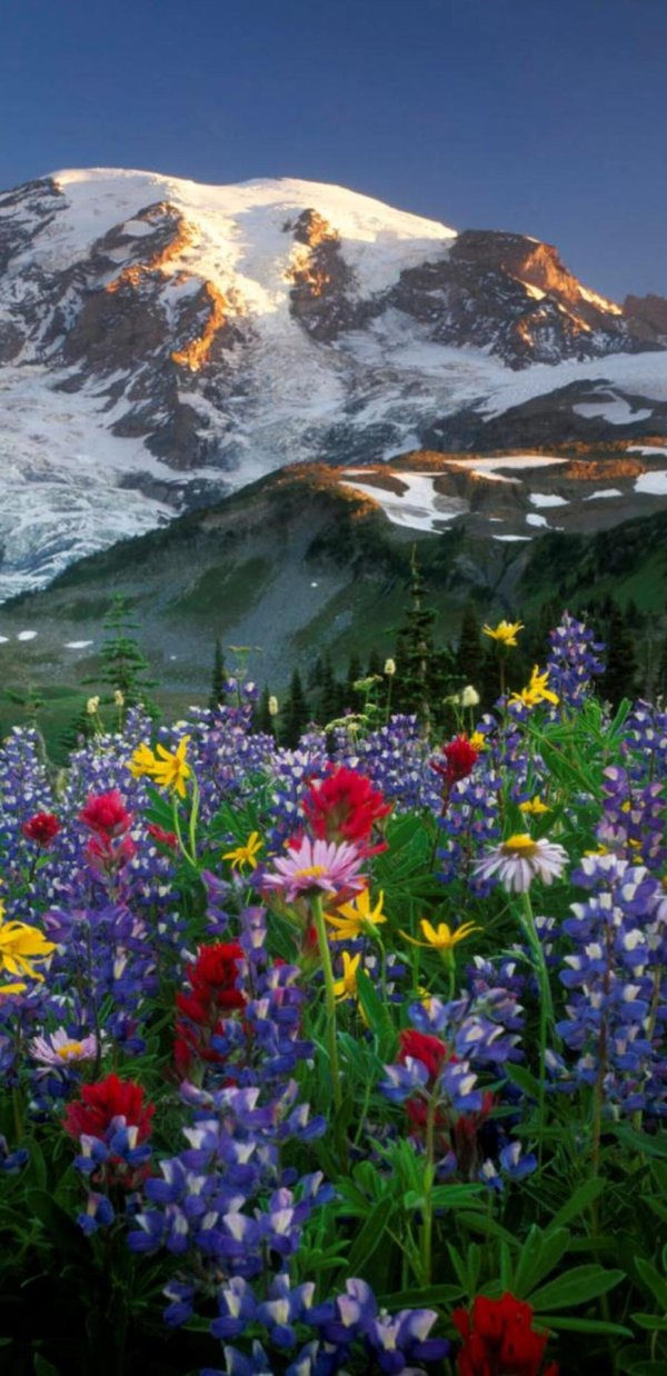 природа красивая