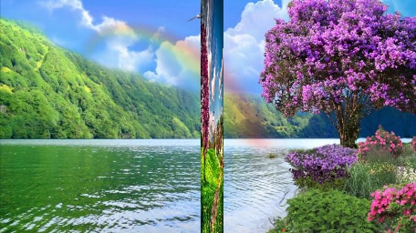 яркая природа