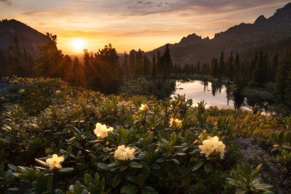 озеро светлое ергаки