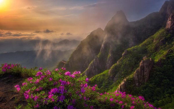 южная корея природа