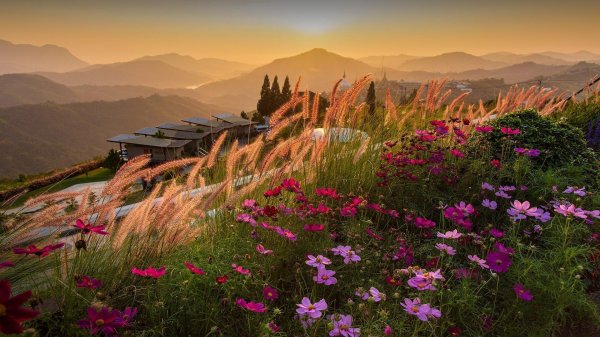 красивейшие пейзажи