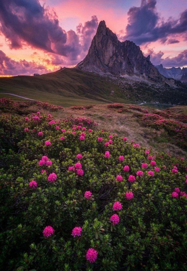 красота природа