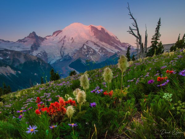 гора ренье  mount rainier