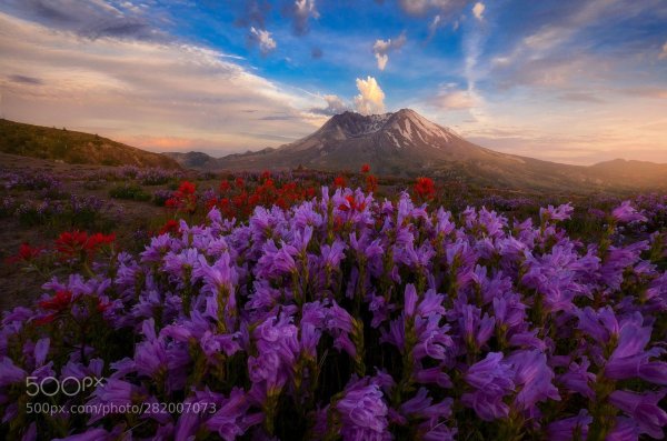 красота природа