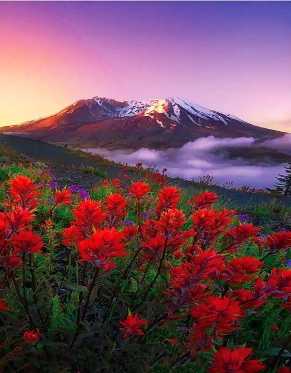 потрясающая красота природы