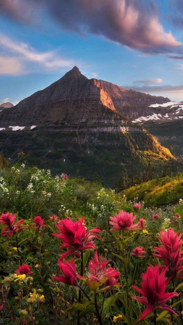 glacier national park