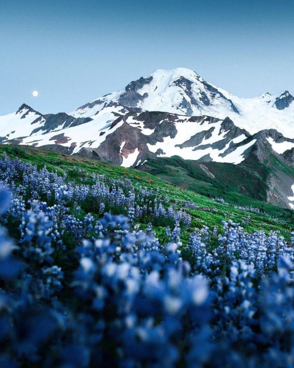 швеция альпийские луга