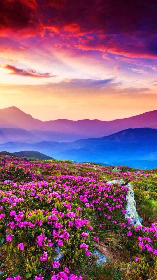 красивые пейзажи природы