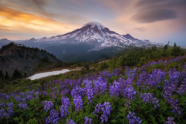 mt rainier national park