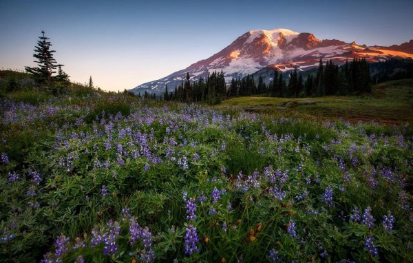 mt rainier national park