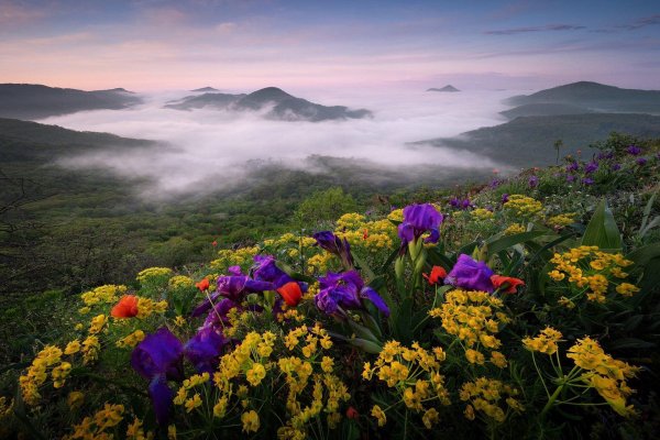 весна холмы